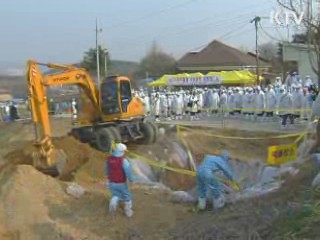 정부, 구제역 방역조치 강화