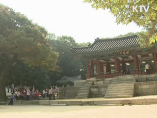 오색 옷 갈아입은 고궁으로 오세요!