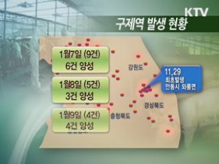 "이번 주부터 백신 투입 효과 기대"