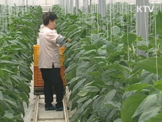 "농식품 수출 76억달러 목표 달성"