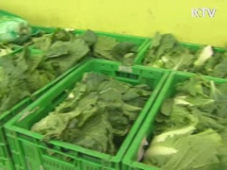 "올해 김장철 채소류 안정적 수급 전망"
