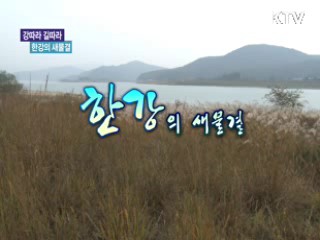 새로 태어난 4대강 [강따라 길따라]