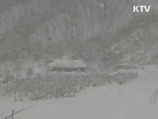 정책&이슈 (80회)