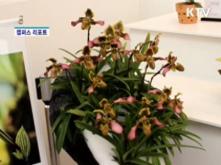 고양꽃박람회, 2억 송이 꽃의 향연