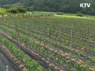 '저수지 둑 높이기' 가뭄 극복에 도움