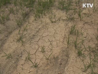 가뭄지역 용수 공급 확대, 저수지 준설