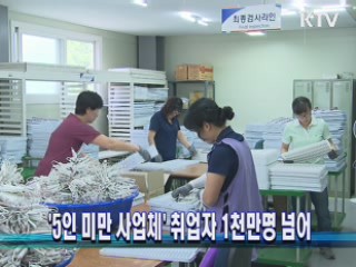 '5인 미만 사업체' 취업자 1천만명 넘어