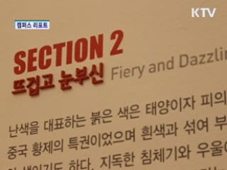 추상화로 느끼는 색채의 향연 [캠퍼스 리포트]