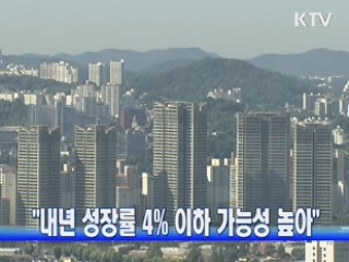 "내년 성장률 4% 이하 가능성 높아"