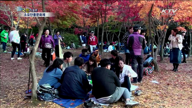 단풍·공연 함께 즐기세요!