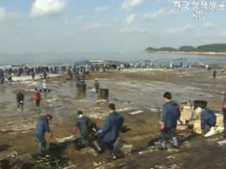 태안 특별재난구역 선포