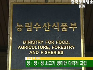 당·정·청 쇠고기 방미단 다각적 교섭 