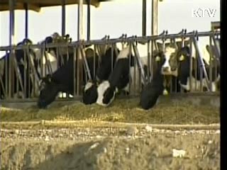 "캐나다 WTO 제소, 적극 대응할 것"