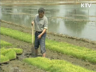 농어가 대출상환, 최대 5년 연장