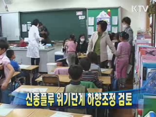 신종플루 위기단계 하향조정 검토