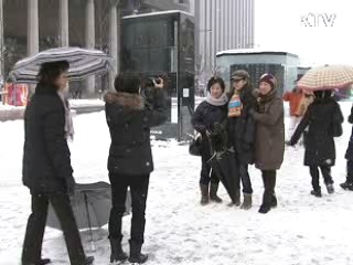 제설·교통·물류 등 긴급 대책 마련