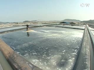 천일염 경쟁력 높여 세계시장 공략