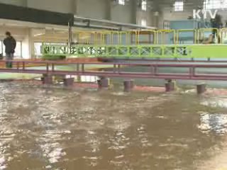 4대강 보 실험 결과 수위 1m 낮아져