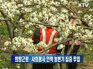 희망근로·사회봉사 인력 농번기 집중 투입