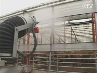 안동 등 5개 지역 백신 접종 실시