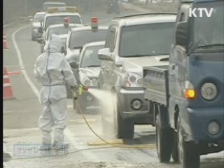 구제역 예방접종 확대, 이동통제 강화