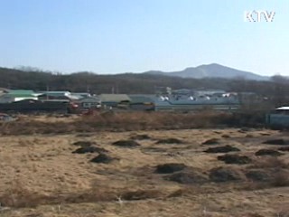 구제역 매몰지 사체 재처리 결정된 바 없어