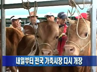 내일부터 전국 가축시장 다시 개장