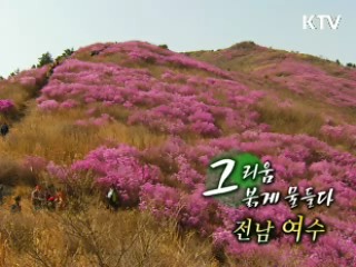 그리움에 붉게 물들다, 전남 여수