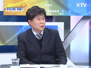 "송아지 한 마리 만원, '한우폭락' 원인과 대책은?" [와이드 인터뷰]