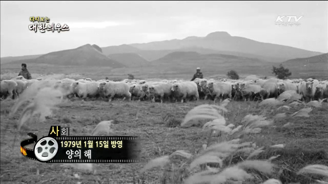 다시보는 대한늬우스 (79.01.15)