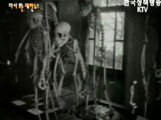 공개된 동물 표본(`58)