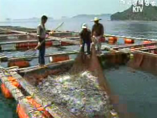 수산업법 알기쉽게 바뀐다