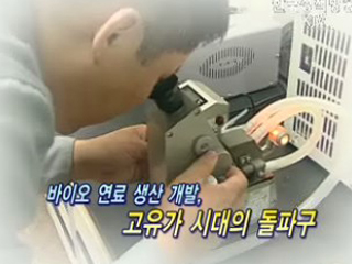 착한 에너지, 바이오 연료