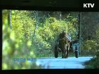 한국영화의 힘, '독립영화'