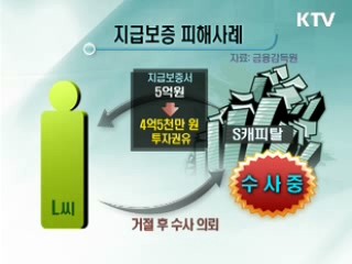 유령 지급보증회사 피해 확산 차단