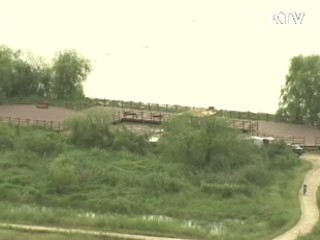 "2012년 4대강 수질 2급수 비율 86%"