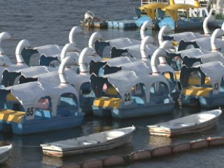 오늘 중부 많은 눈…추위 풀릴 듯