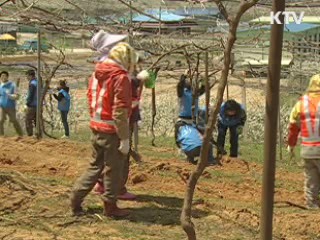 자원 민방위대 3만명 창설