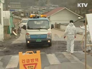 가평 구제역 발생…강원 평창 의심신고