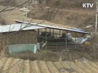 백신 접종 전국 확대···구제역 '선제대응'