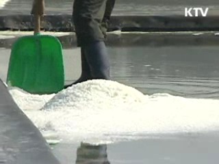 오늘부터 소금 원산지표시 본격 단속