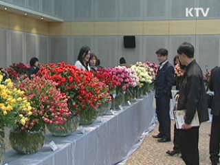 로열티 줄여주는 '국가대표 장미' 공개