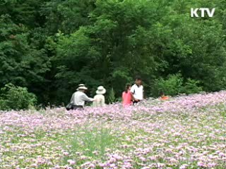 환경-법무부, 재소자 자생식물 복원 교육