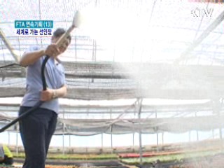 컨설팅 날개 달고 세계로 가는 선인장