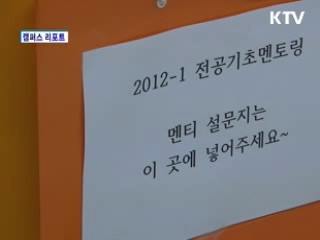 대학가 멘토링 수업 인기