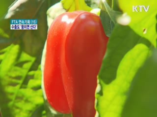 수출선도조직…농수산 경쟁력 '쑥쑥'
