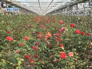 신품종 개발, 농가 로열티 부담 덜어 [캠퍼스 리포트]