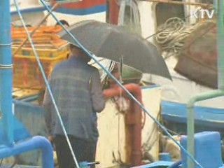 태풍 '덴빈' 소멸…동해안은 낮까지 비