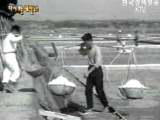 수출되는 소금(`62)