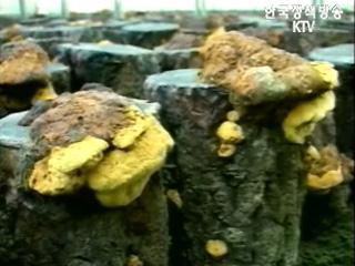 한국일보 ‘술취한 농림부’ 보도 관련 농림부 입장